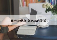 遂宁seo优化（SEO站内优化）